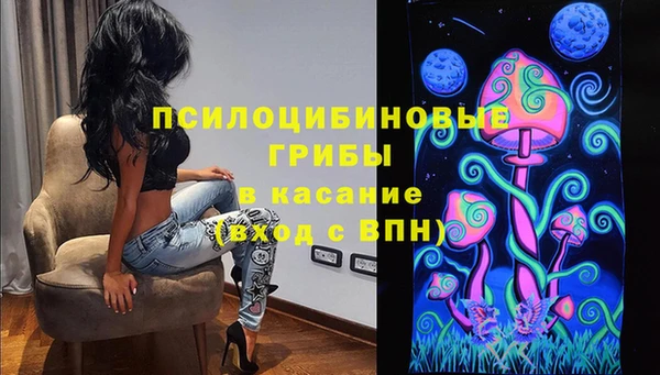 крисы Аркадак