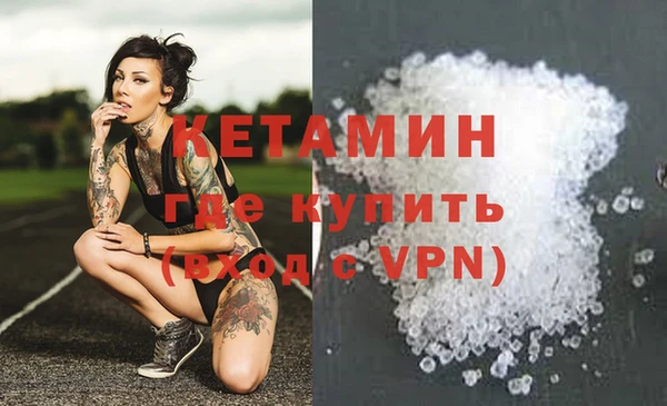 крисы Аркадак