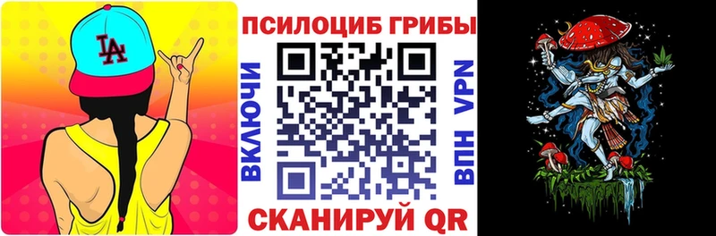 Псилоцибиновые грибы мицелий  MEGA как войти  Порхов  купить закладку 